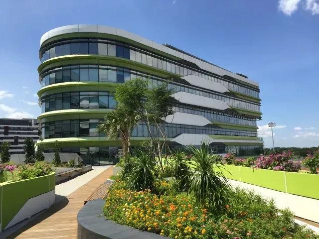 新加坡科技设计大学